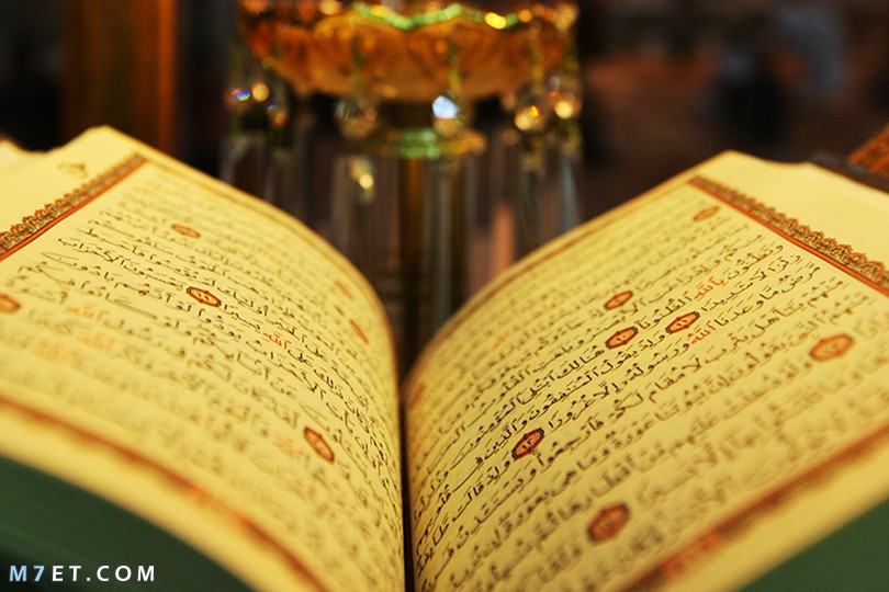 معاني الظن في القرآن الكريم || أ.د. محمد أمحزون